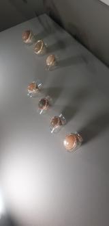Miniaturansicht